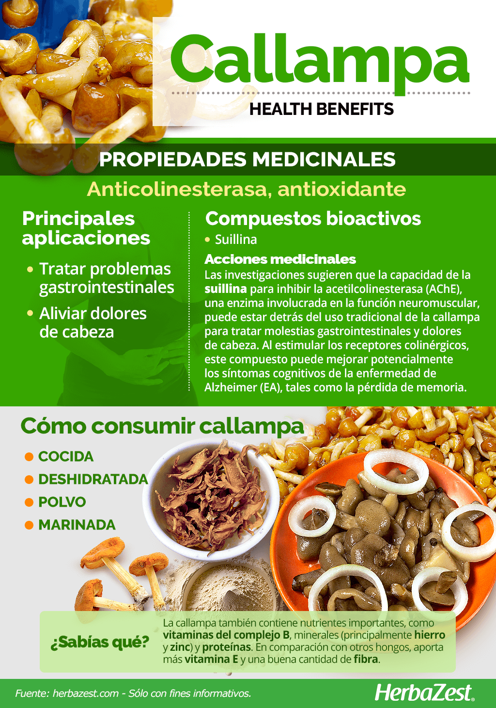 Beneficios de la callampa