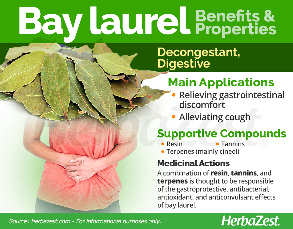 Bay Laurel Benefits and Properties