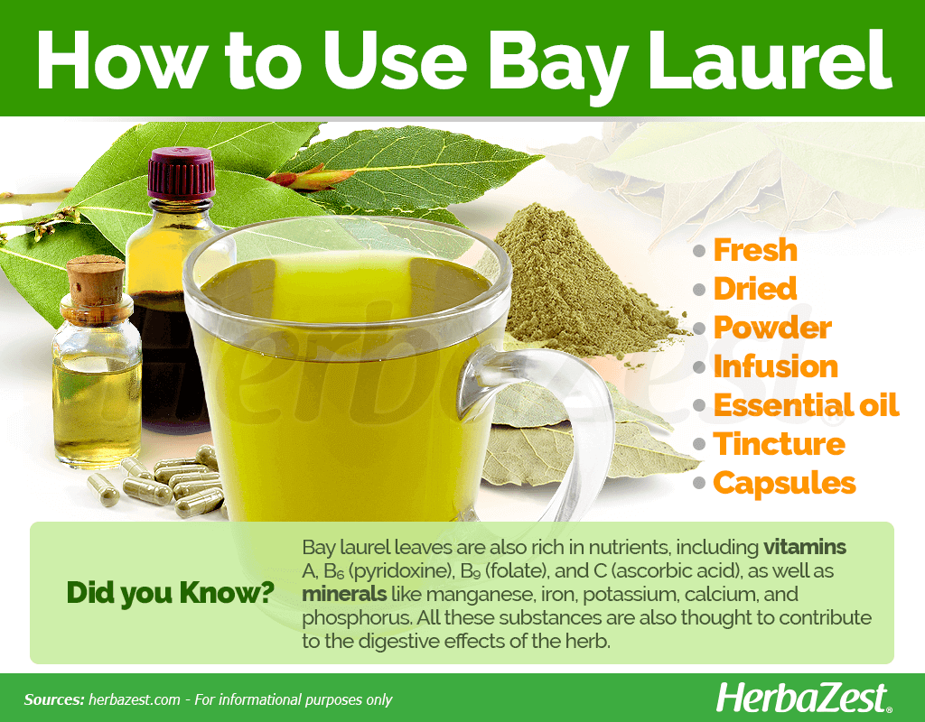 How to Use Bay Laurel