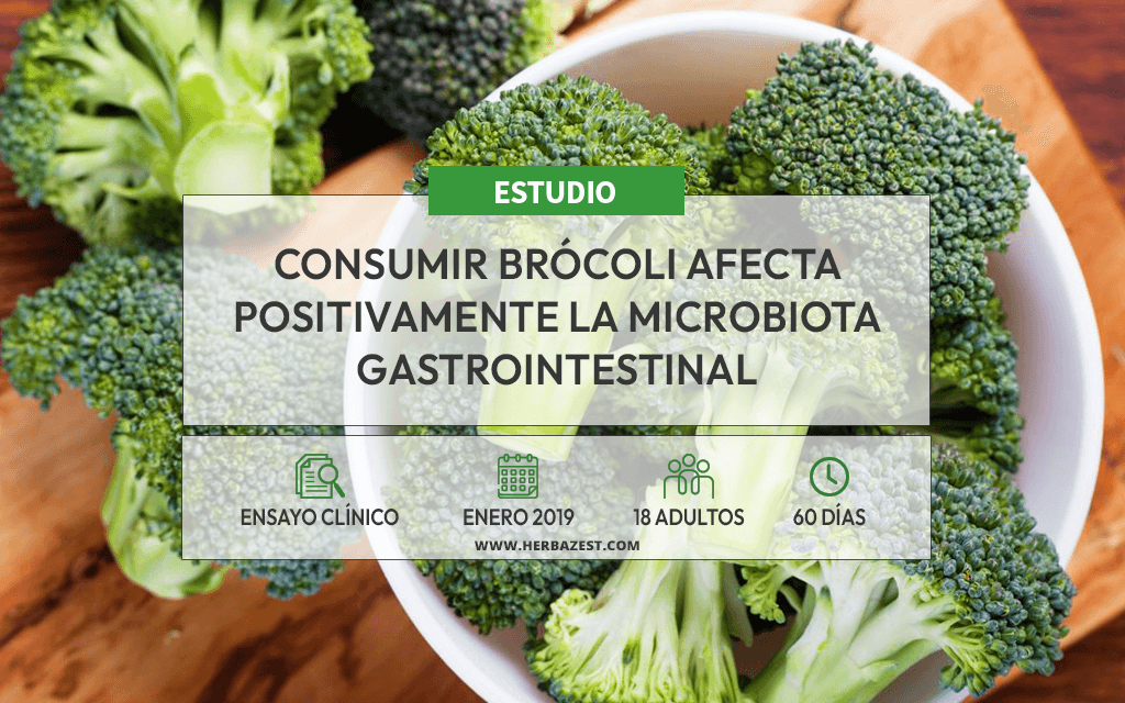 Revelan la influencia del brócoli en la microbiota gastrointestinal