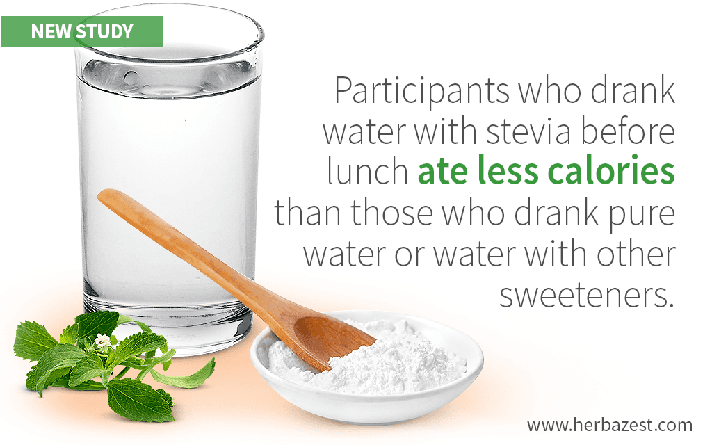 Drinking Stevia-Sweetened Water Before a Meal Helps Lowers Appetite