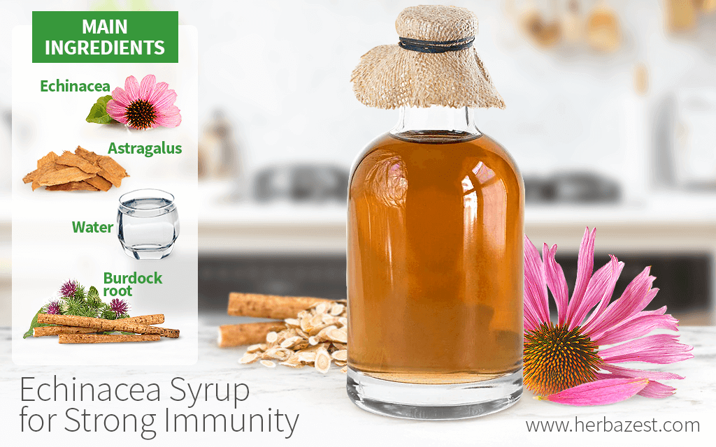 Echinacea Syrup for Strong Immunity HerbaZest