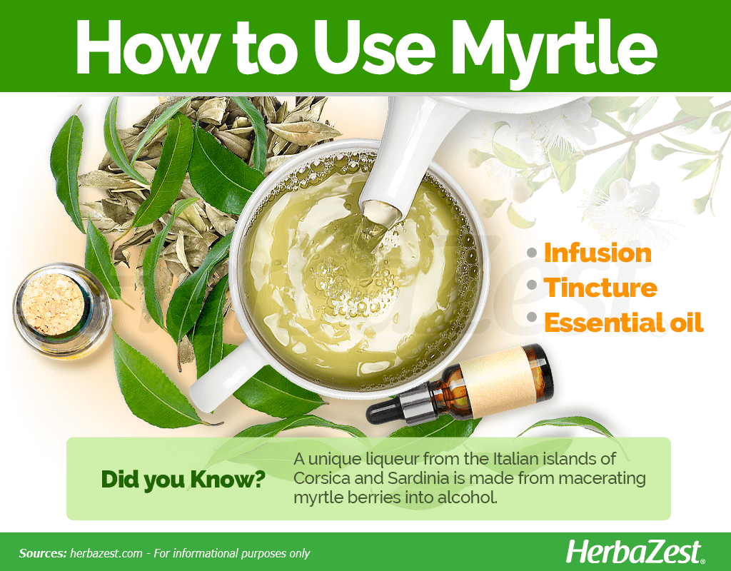 How to Use Myrtle