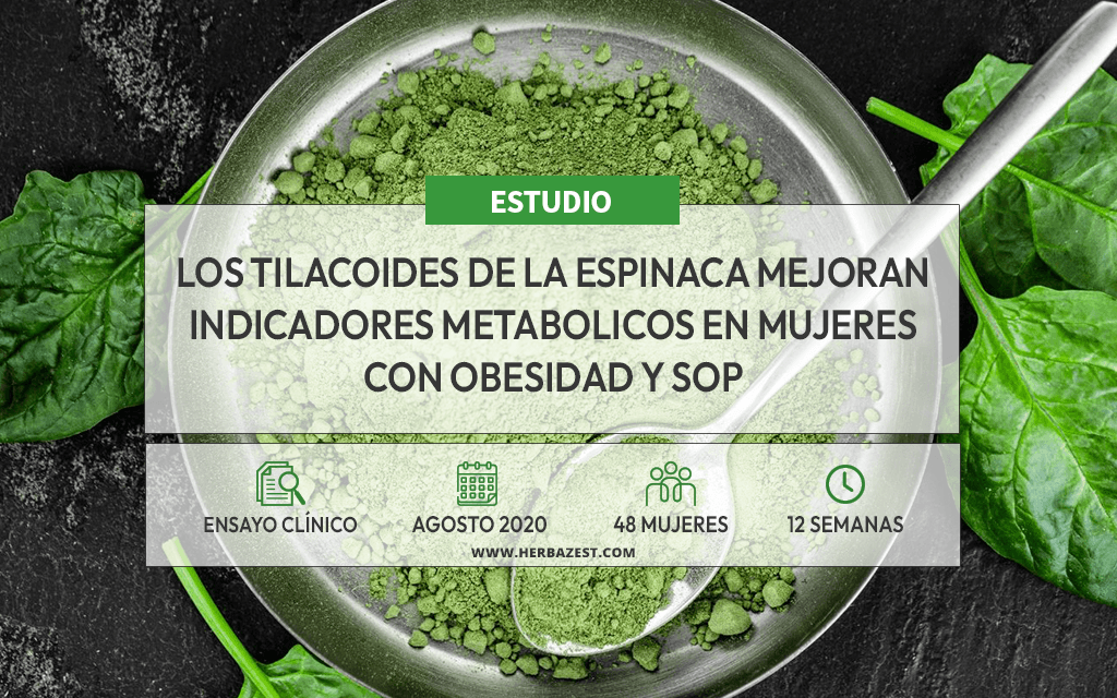 Los suplementos de espinaca pueden beneficiar a mujeres con obesidad y ovario poliquístico