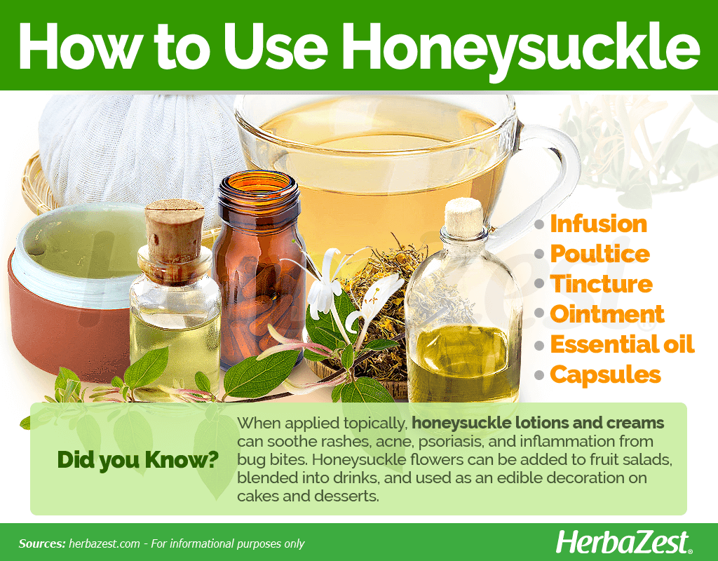 How to Use Honeysuckle