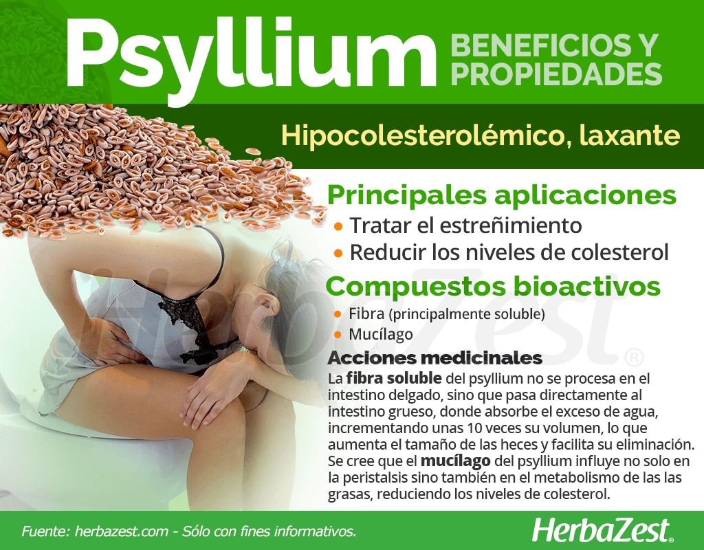Beneficios y propiedades del psyllium