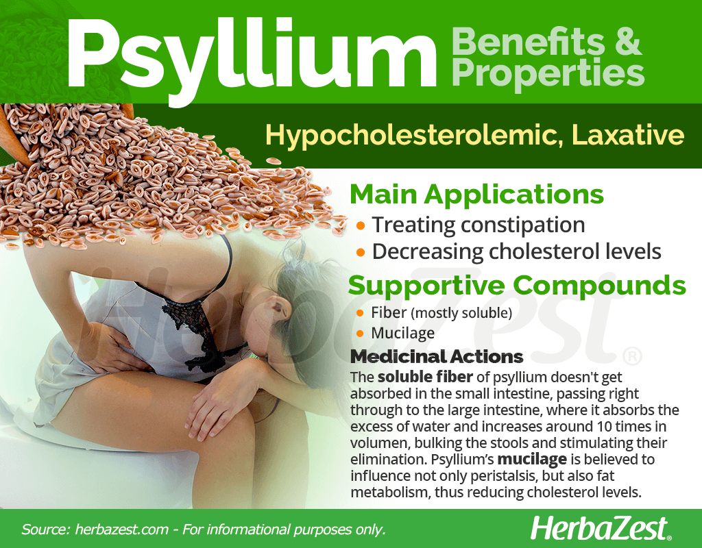 Psyllium Benefits and Properties