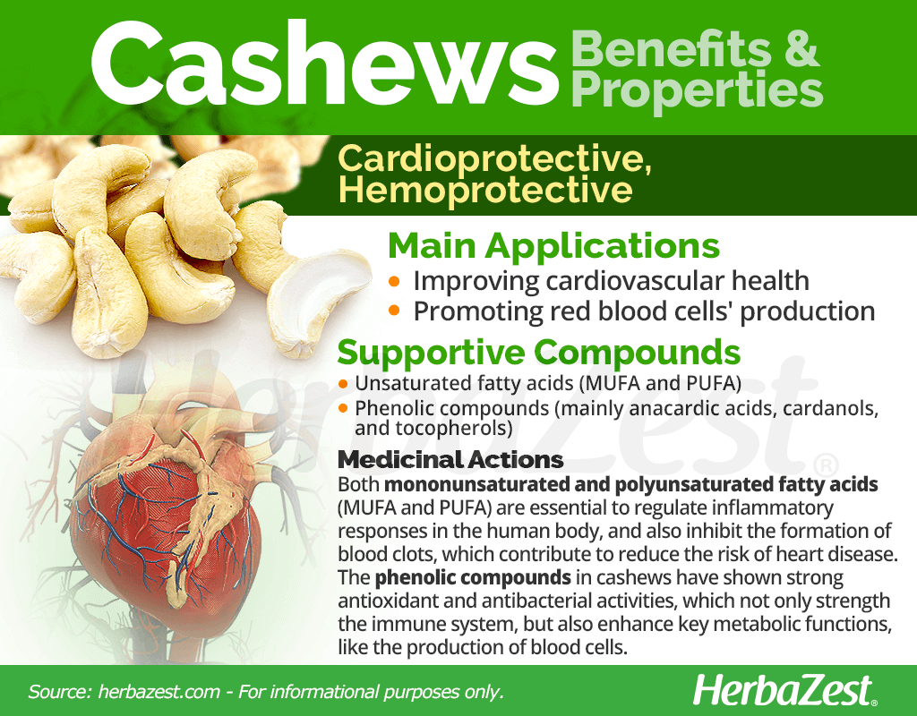 Cashews Benefits and Properties