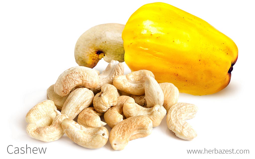 Cashew HerbaZest