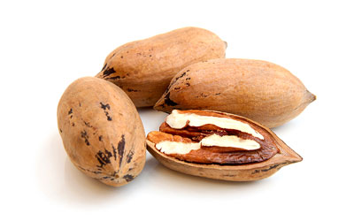 Pecan