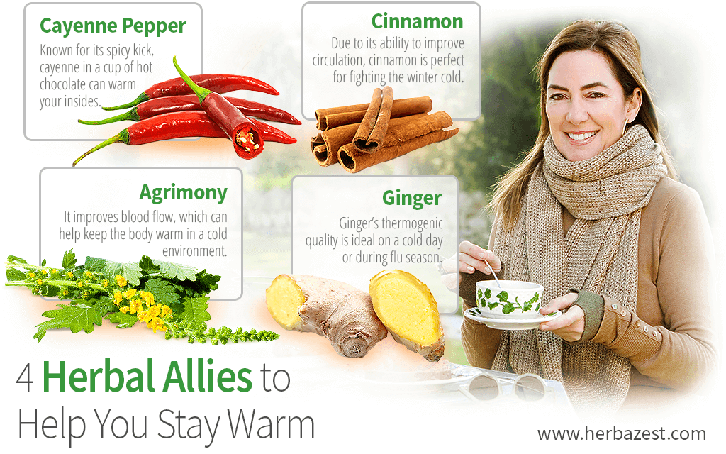 4 Herbal Allies to Help You Stay Warm
