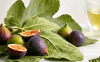 Fig Leaf Tea Offers Symptom Relief in Mild Atopic Dermatitis