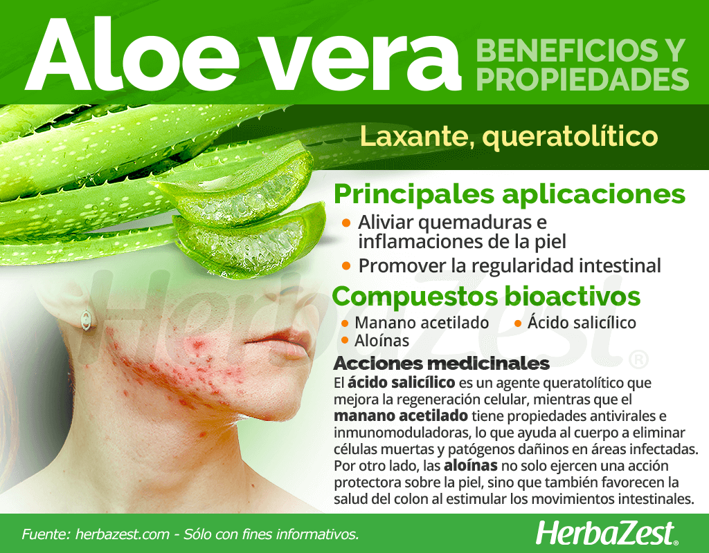 Propiedades y beneficios del aloe vera