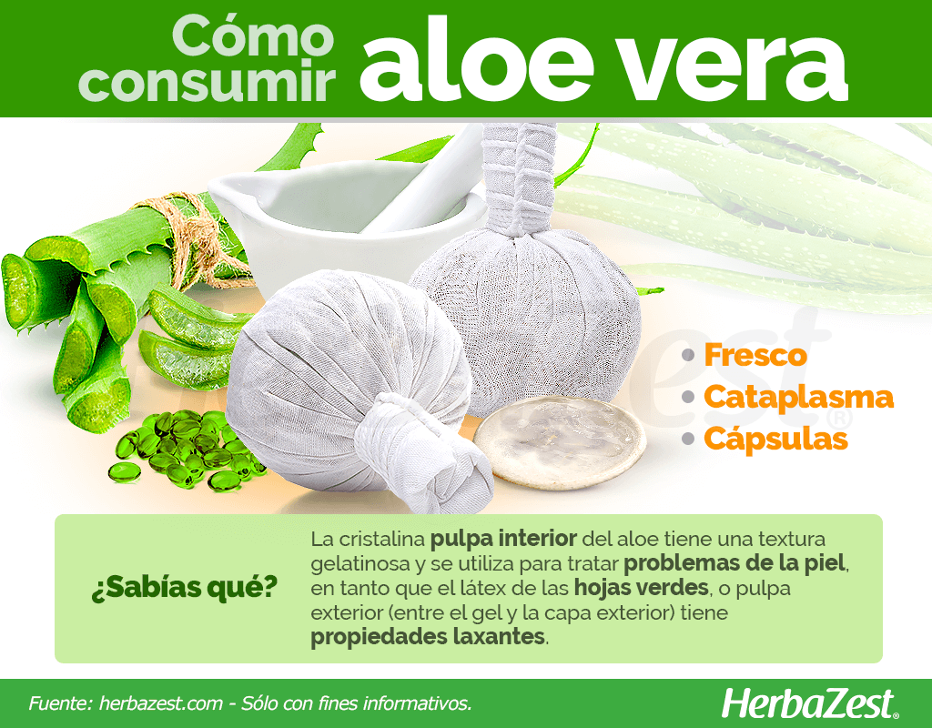 Cómo consumir aloe vera