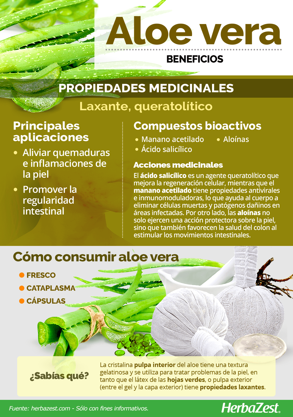 Beneficios del aloe vera