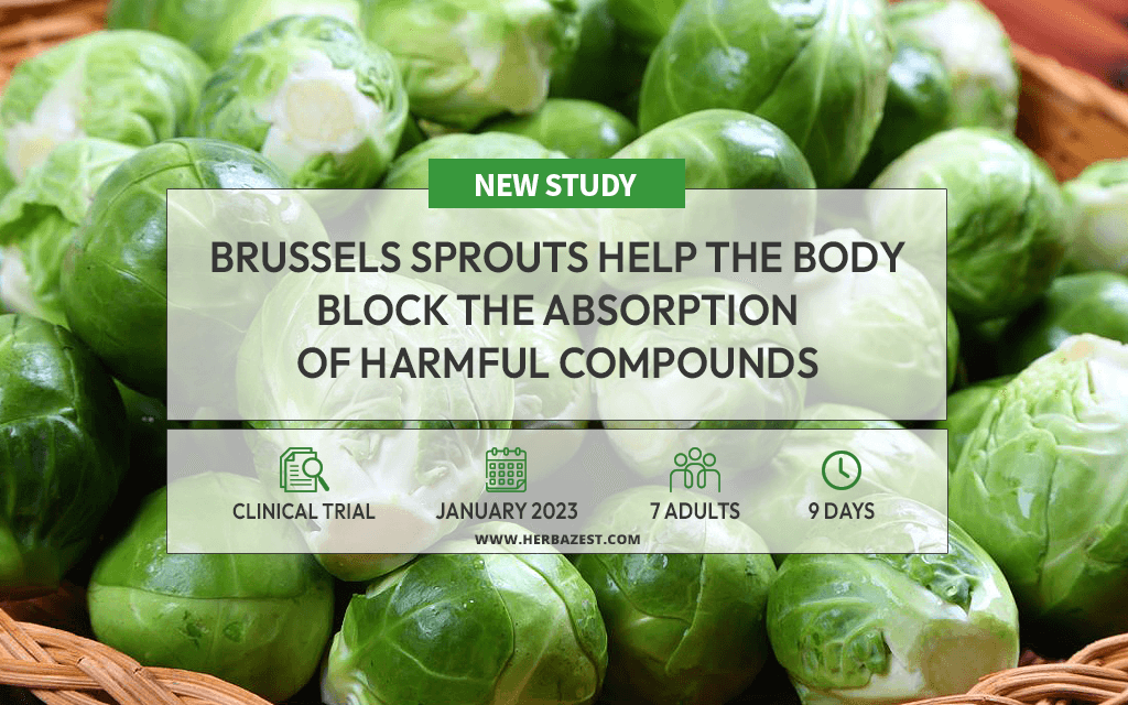 Brussels Sprouts May Reduce Uptake of Harmful Substances