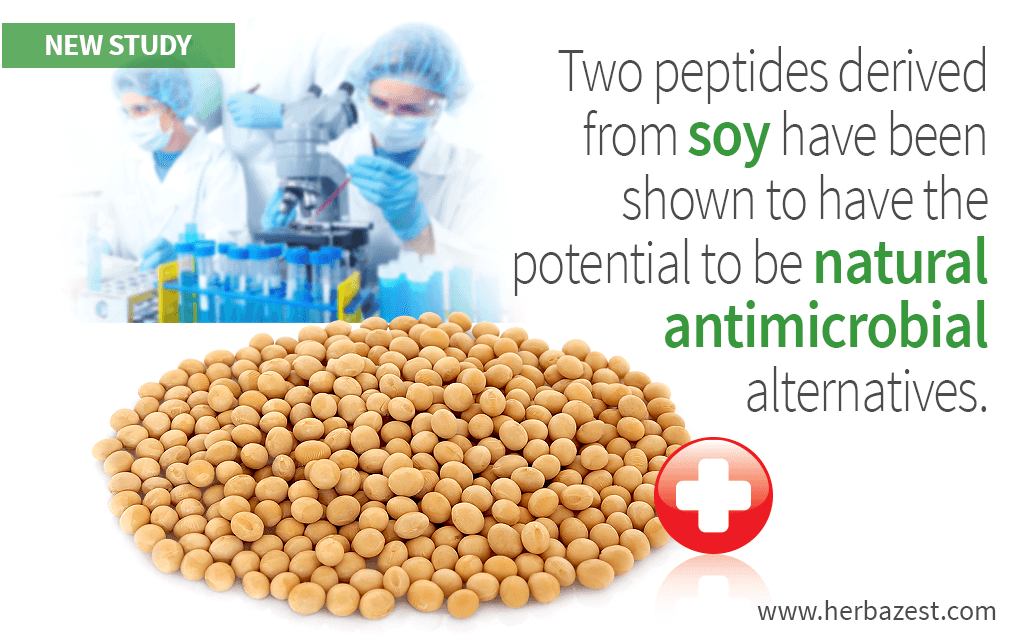 Two peptides derived from soy have been shown to have the potential to be natural antimicrobial alternatives.
