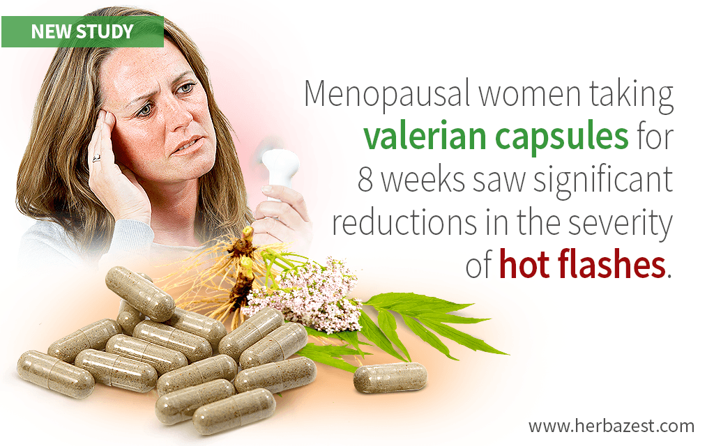 Clinical Trial Confirms Benefits of Valerian for Hot Flashes