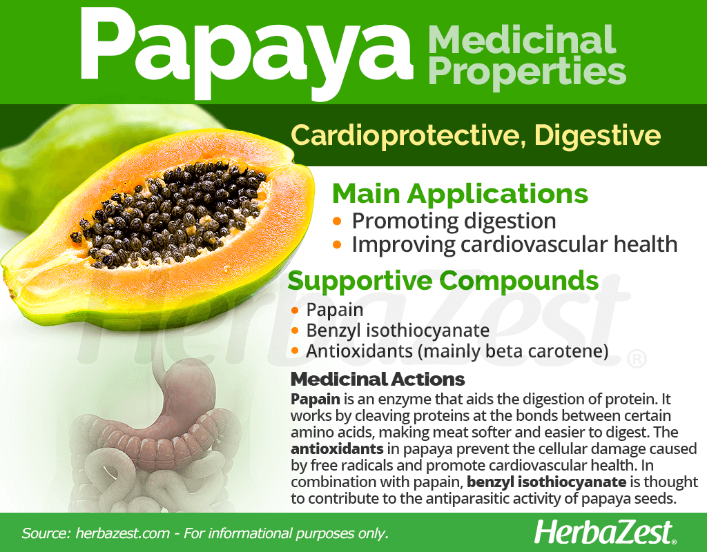 Papaya Medicinal Properties
