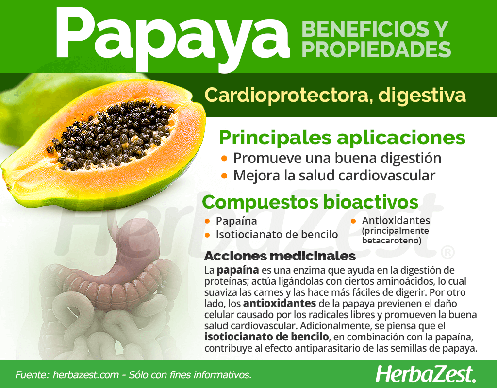 Beneficios y propiedades de la papaya