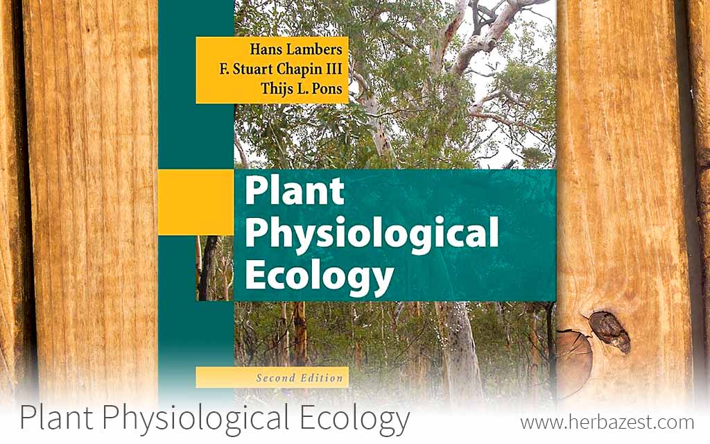 Plant Physiological Ecology