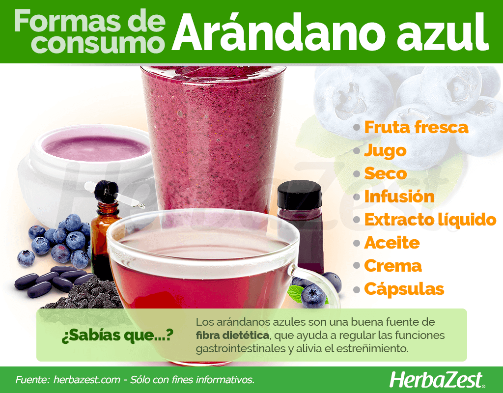 Cómo consumir arándano azul