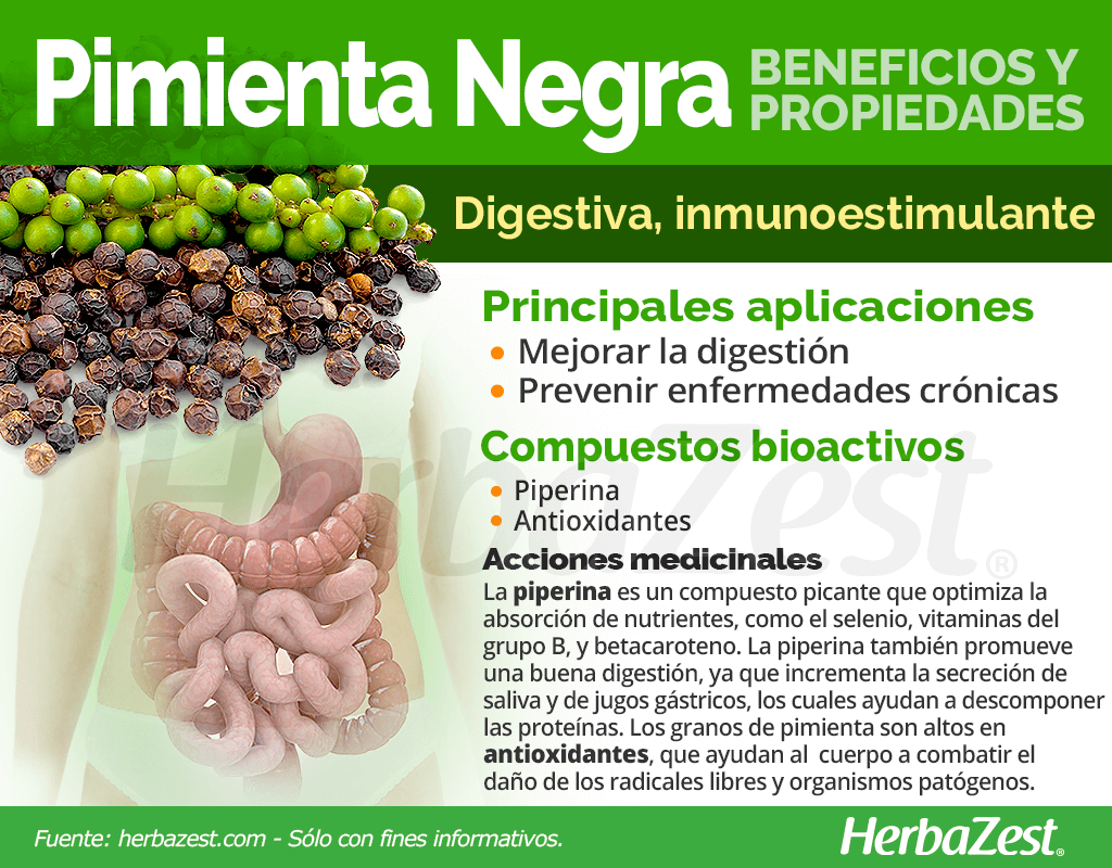 Propiedades digestivas de la pimienta negra