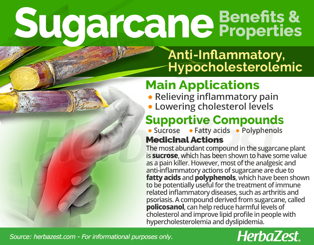 Sugarcane Benefits and Properties