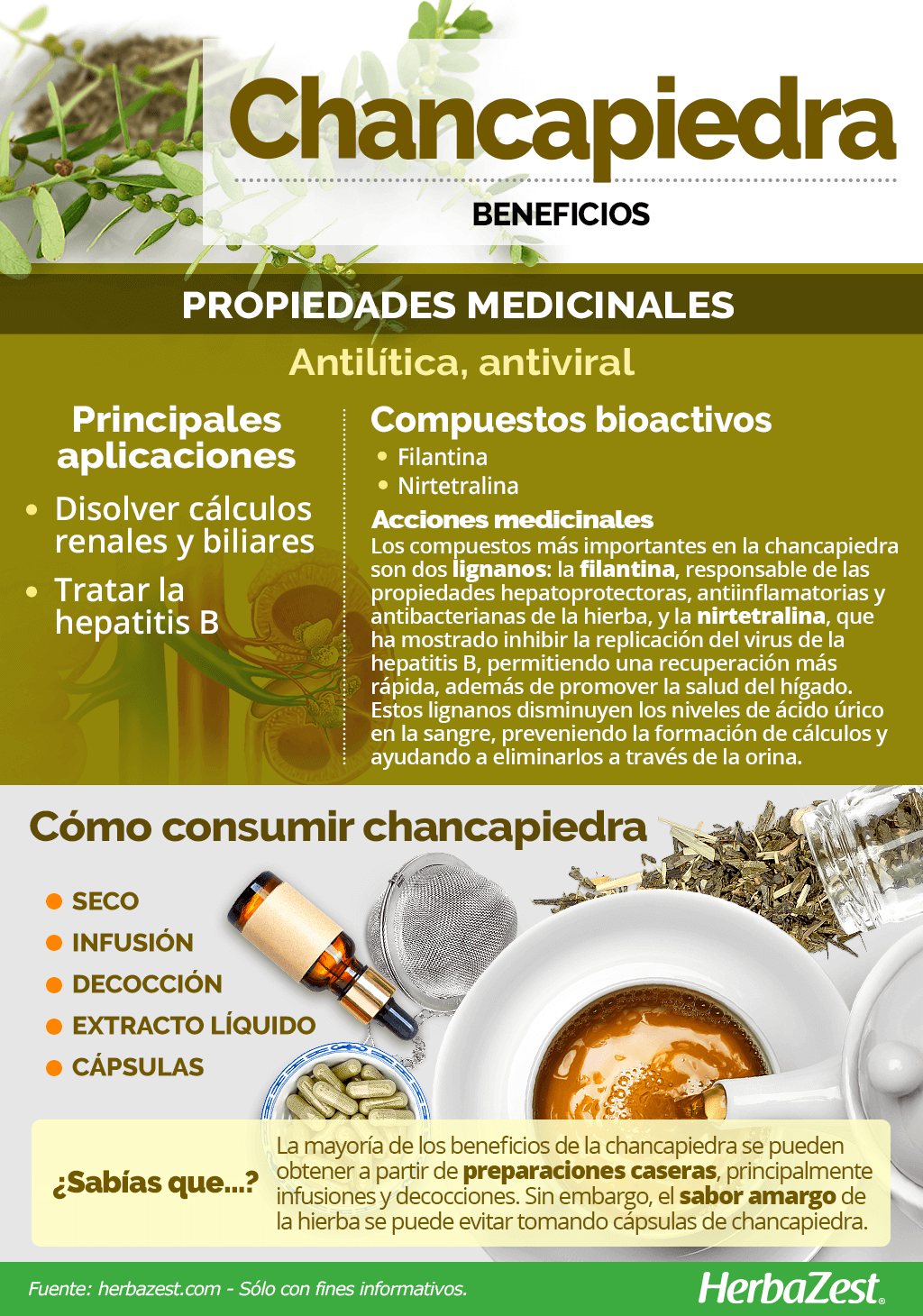 Beneficios de la chancapiedra