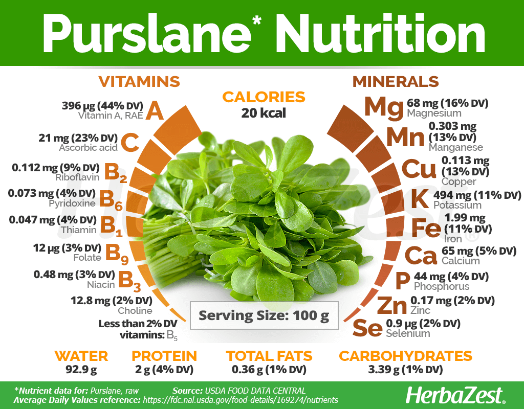Purslane Nutrition Facts