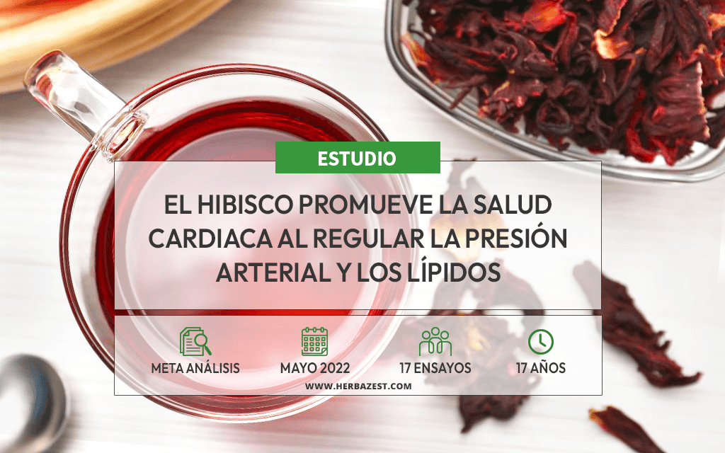 Demuestran la efectividad del hibisco para controlar la hipertensión