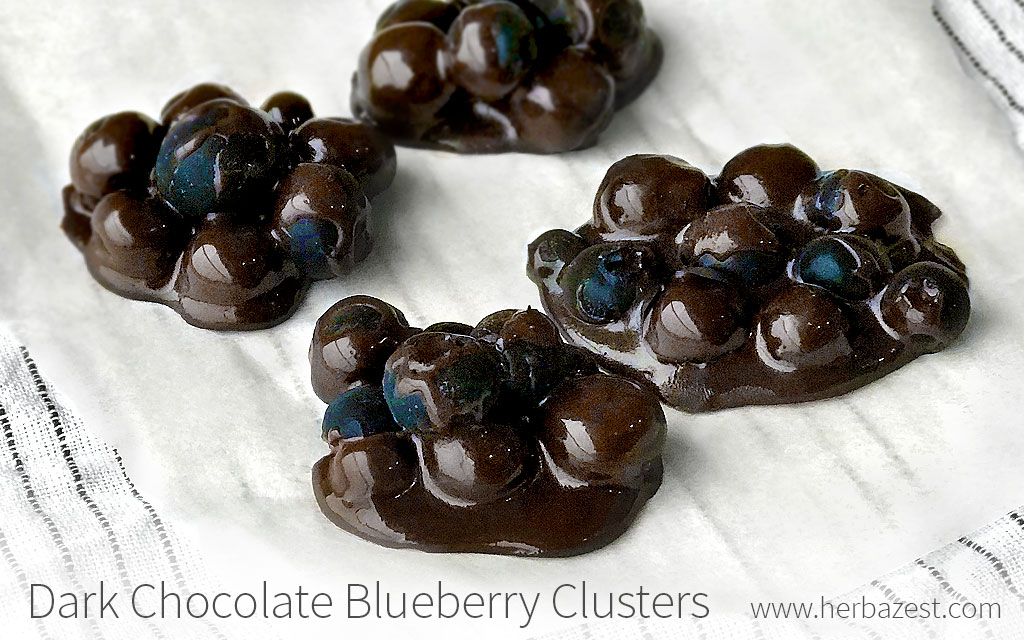 Dark Chocolate Blueberry Clusters