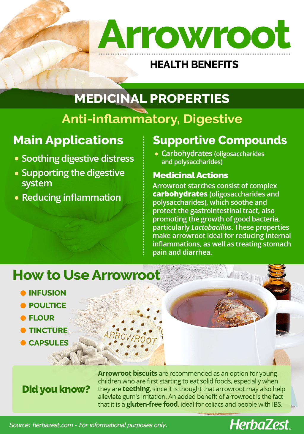 All About Arrowroot