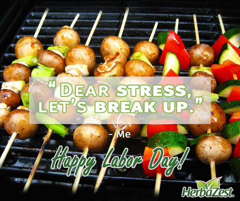 Labour Day Quote: Dear Stress Lets Break Up
