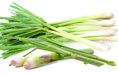 Lemongrass