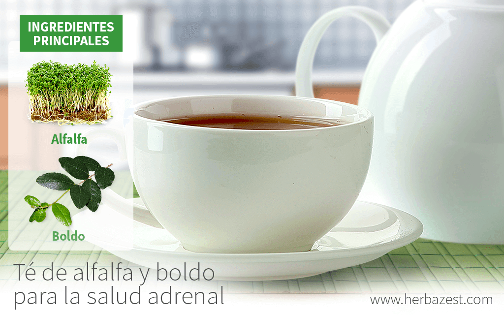 Té de alfalfa y boldo para la salud adrenal HerbaZest