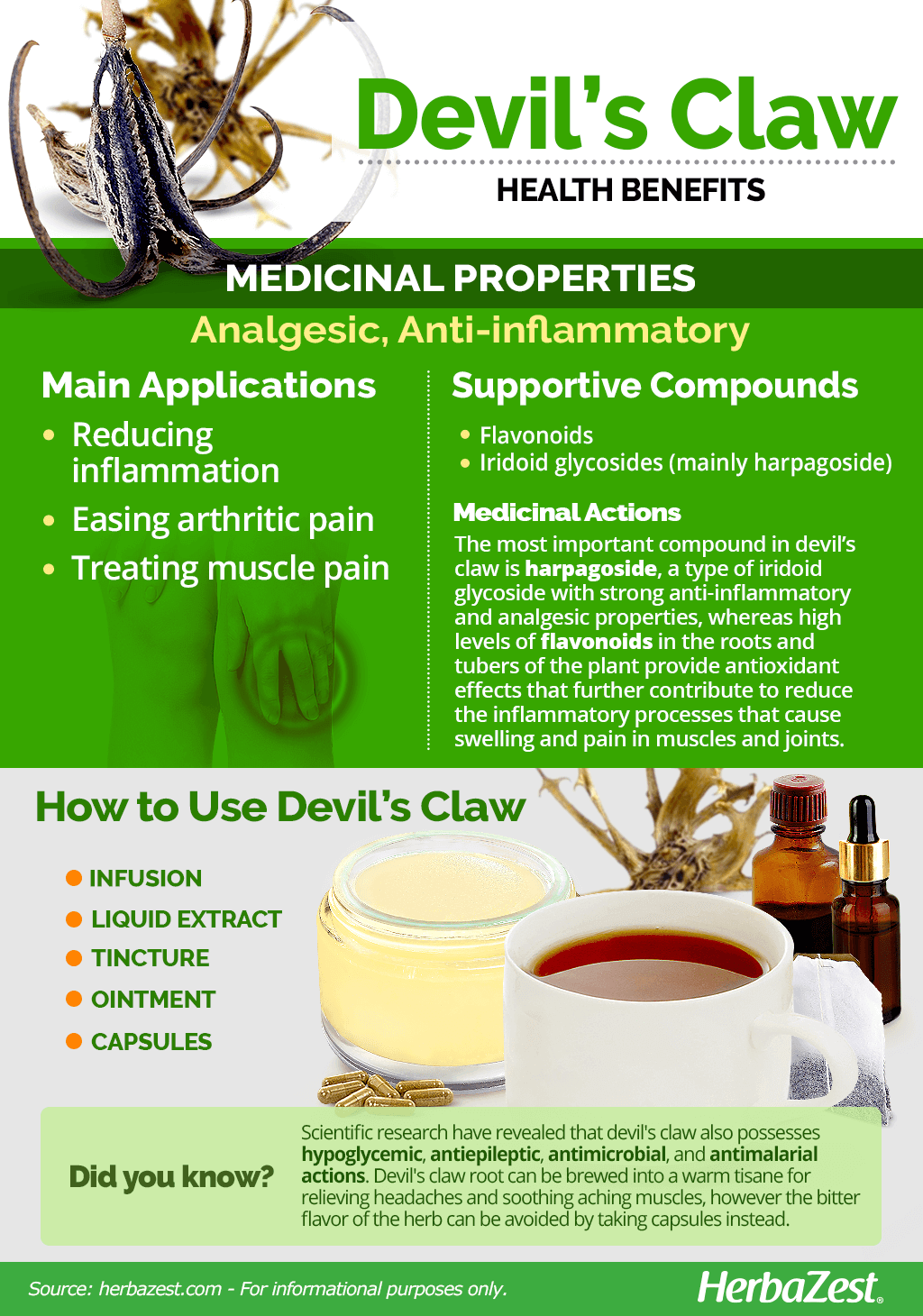 All About Devil's Claw