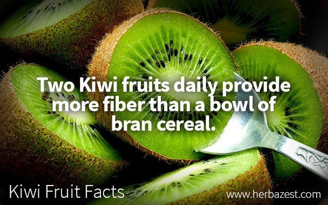 Kiwi Fruit Facts