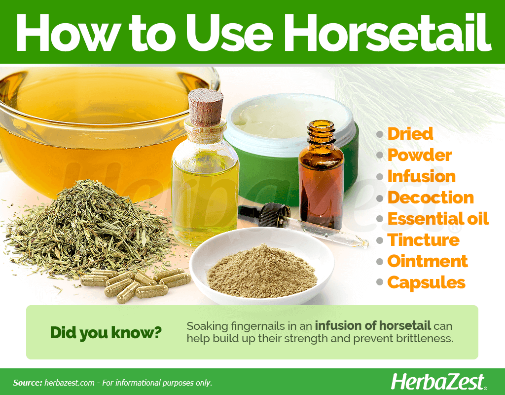 How to Use Horsetail