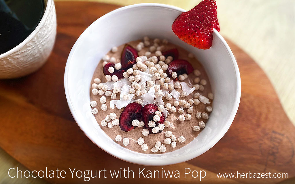 Chocolate Yogurt with Kaniwa Pop