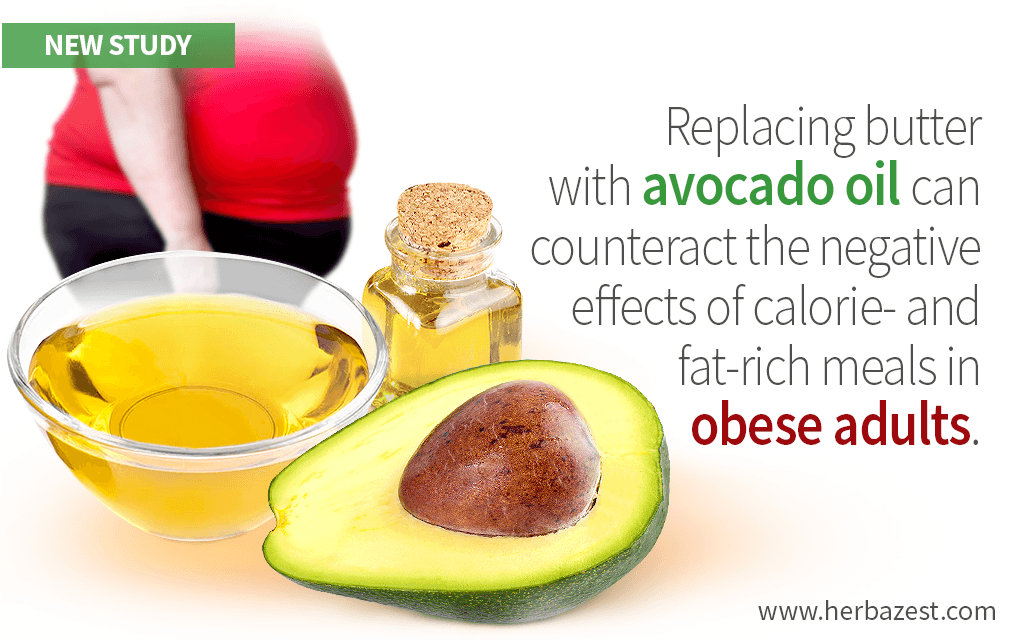 Avocado Oil's Atherosclerosis-Preventing Effects Shown in a Study