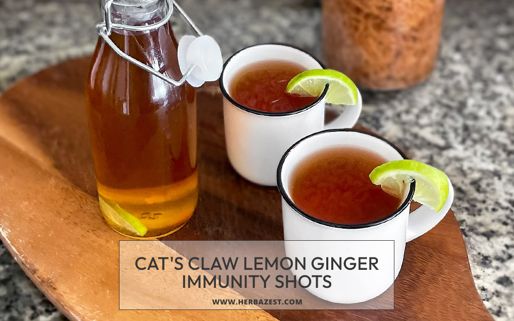 Cat's Claw Lemon Ginger Immunity Shots