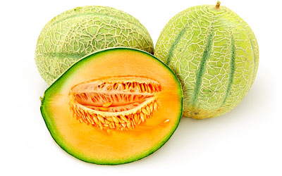 Melon