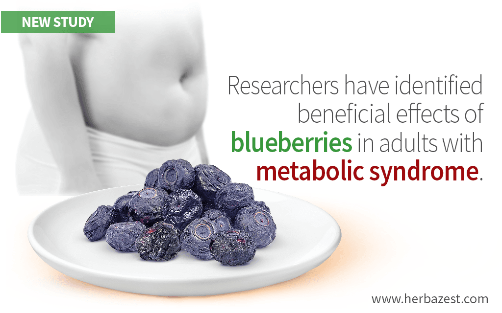 The Role of Blueberries on Metabolic Syndrome Shown in a Study