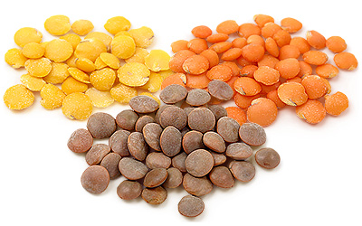 Lentil