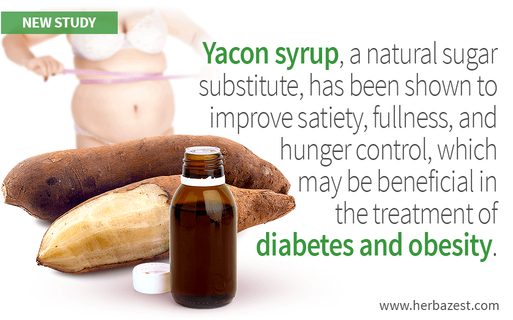 Consumption of Yacon Syrup May Help Increase Satiety