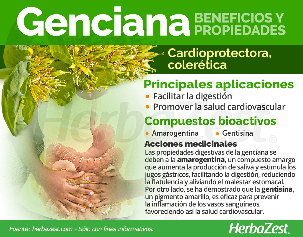 Beneficios y propiedades de la genciana