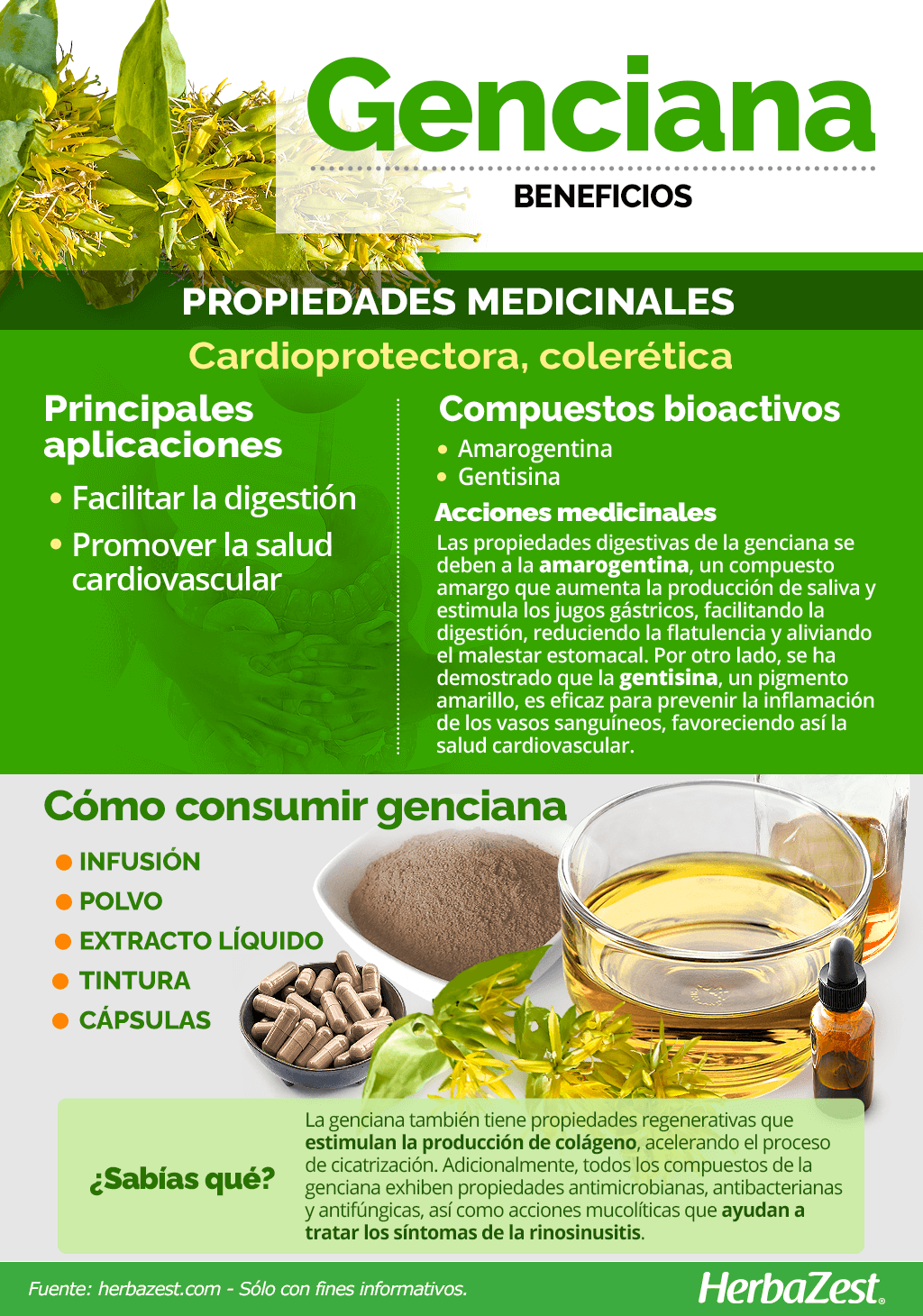 Beneficios de la genciana