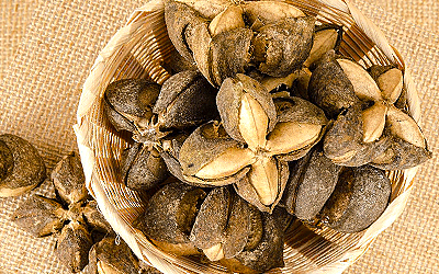 El aceite de sacha inchi puede ser eficaz para tratar el acné