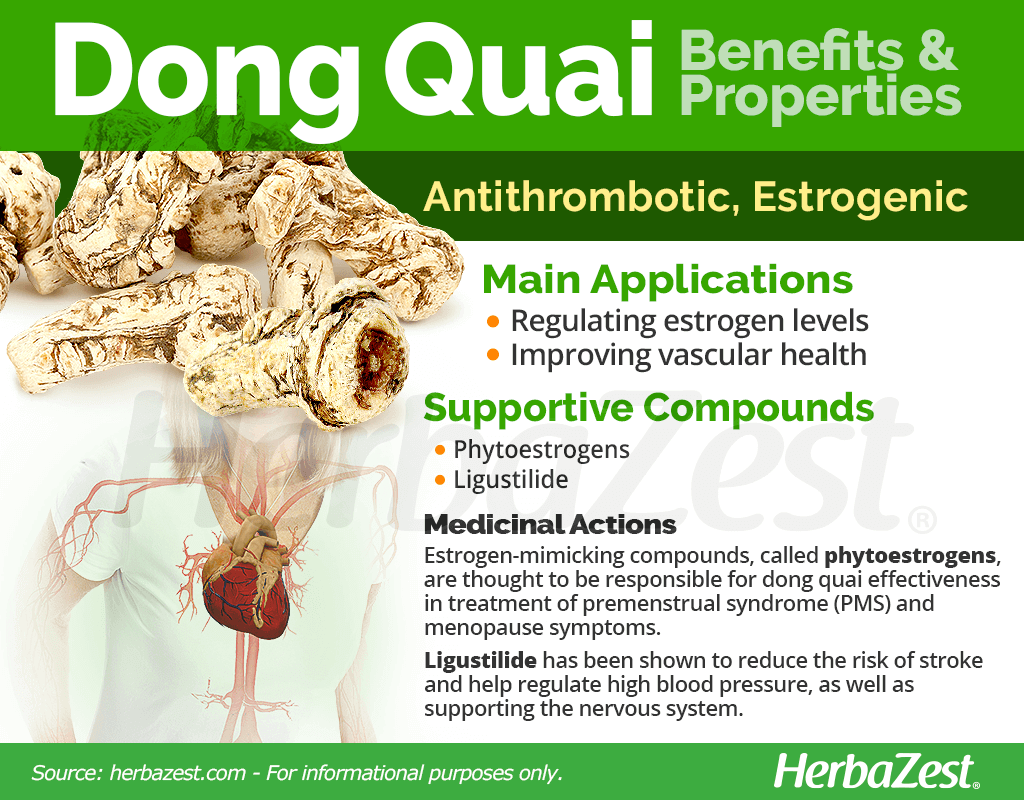 Dong Quai Benefits and Properties